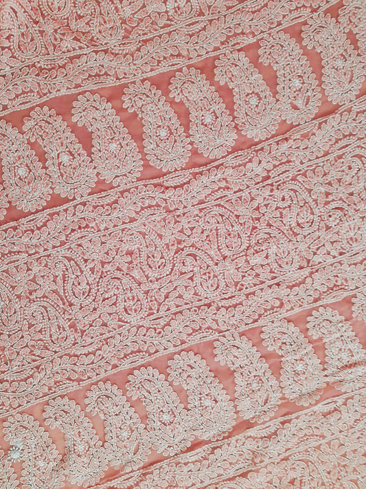 Carrot Pink Noor Full Jaal Hand Embroidered Lucknowi Chikankari Saree