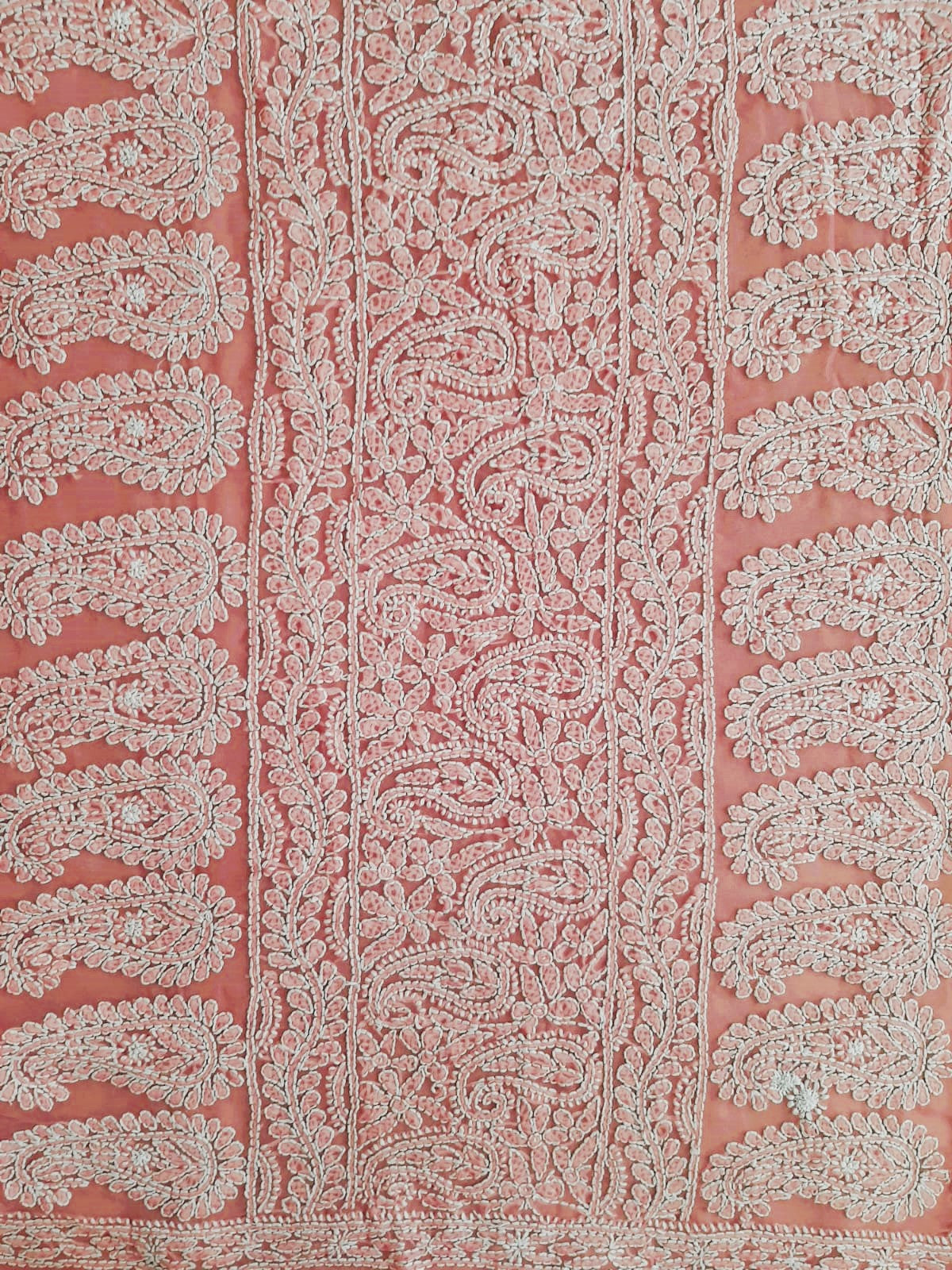 Carrot Pink Noor Full Jaal Hand Embroidered Lucknowi Chikankari Saree