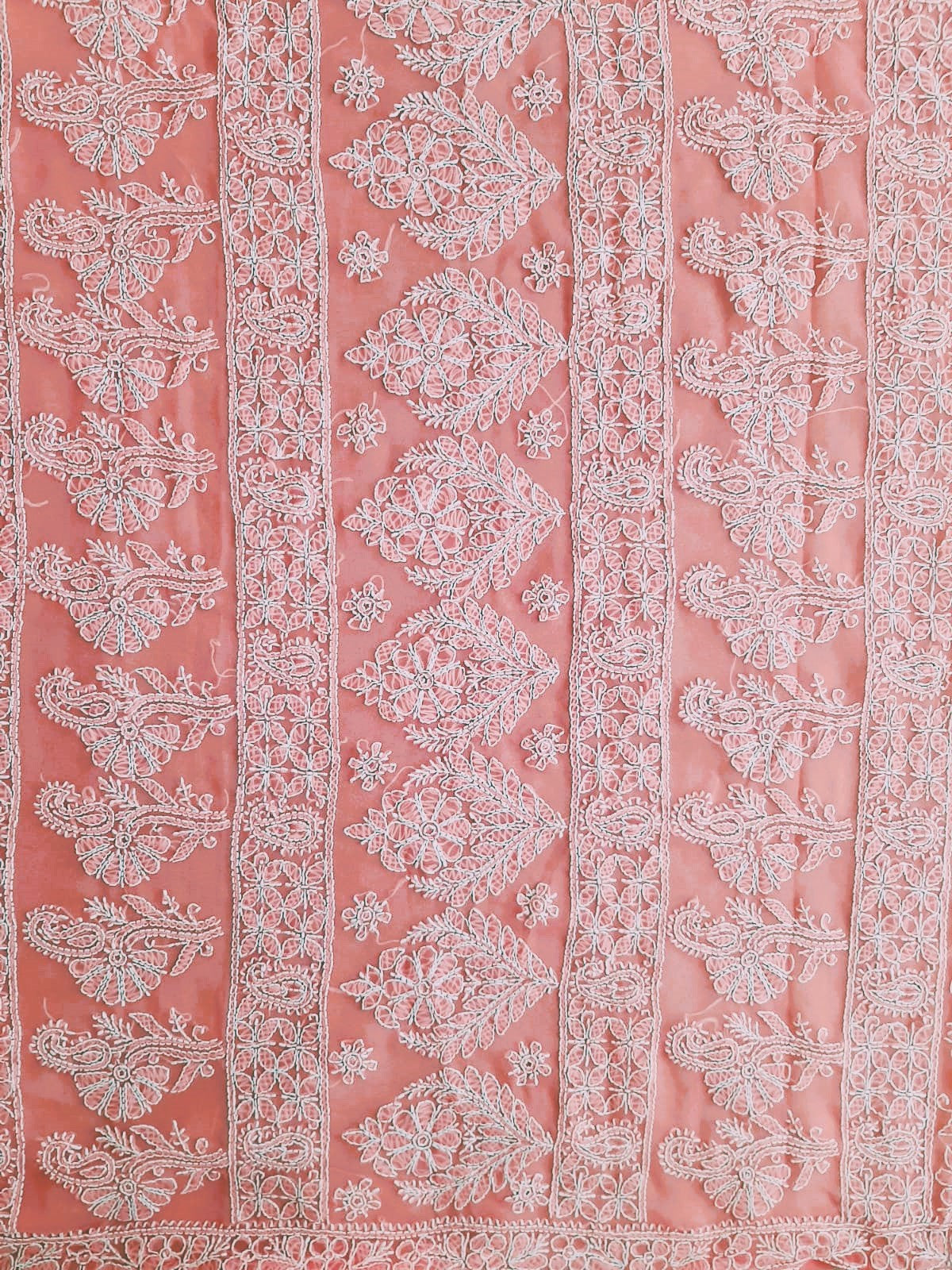 Carrot Pink Noor Full Jaal Hand Embroidered Lucknowi Chikankari Saree