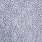 Grey Noor Full Jaal Hand Embroidered Lucknowi Chikankari Saree