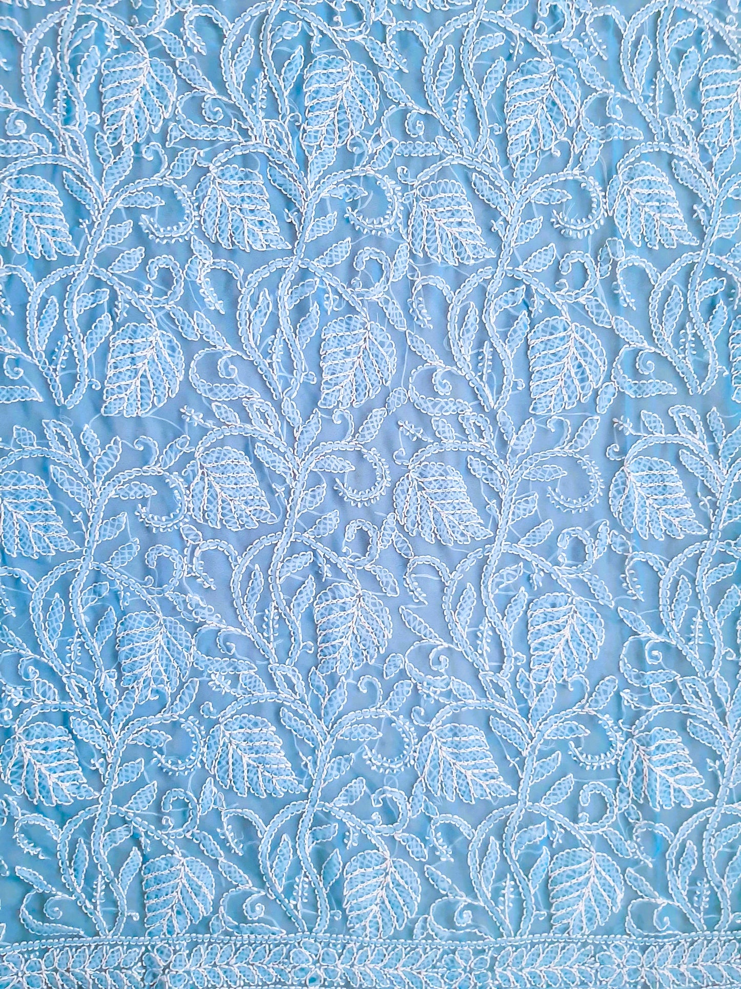 Powder Blue Noor Full Jaal Hand Embroidered Lucknowi Chikankari Saree