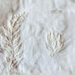 Handcrafted Cotton Lucknowi Chikankari Palazzo