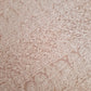 Peach Noor Full Jaal Hand Embroidered Lucknowi Chikankari Saree
