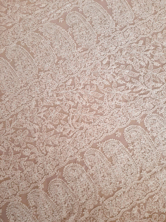 Peach Noor Full Jaal Hand Embroidered Lucknowi Chikankari Saree