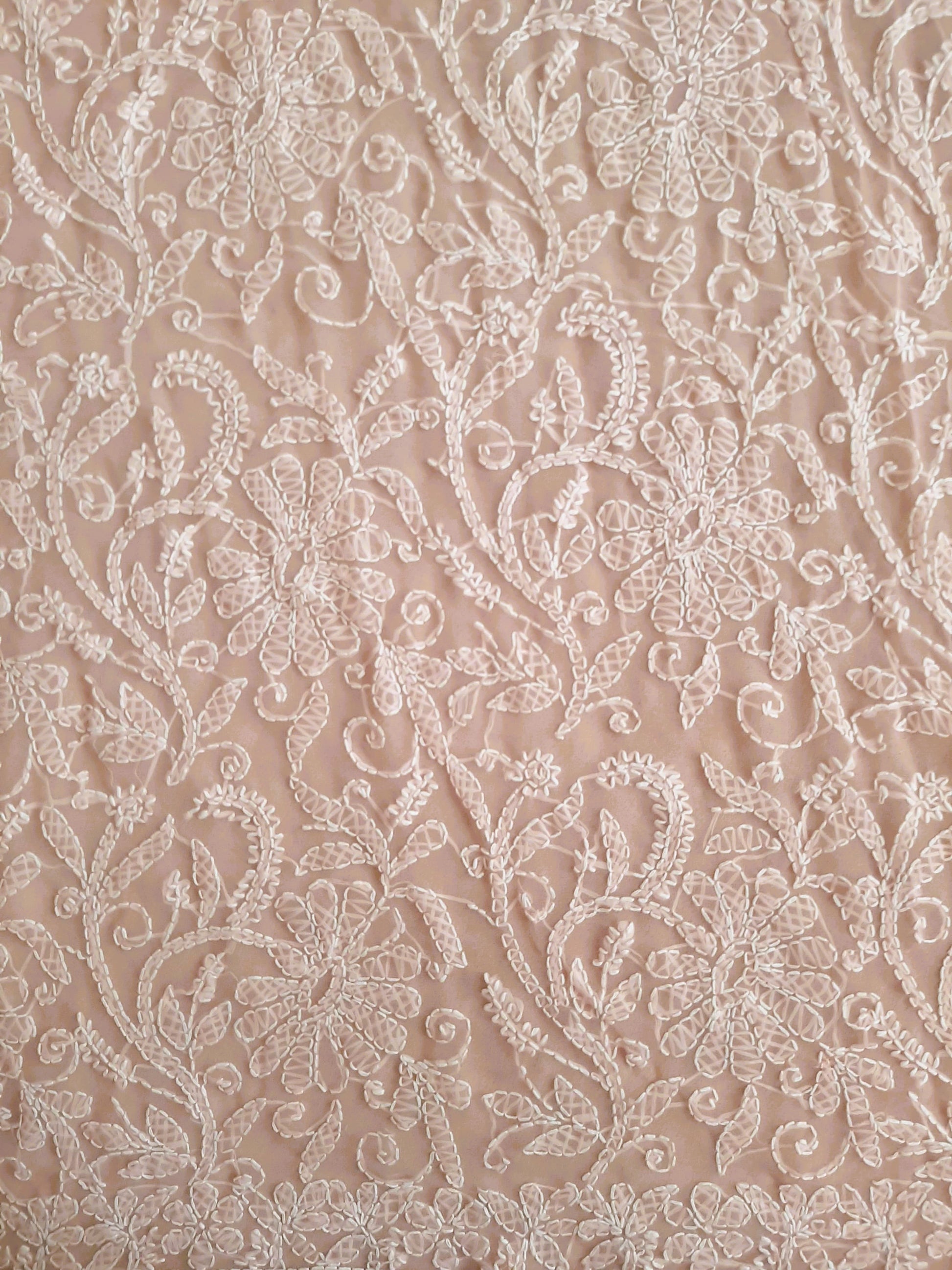 Peach Noor Full Jaal Hand Embroidered Lucknowi Chikankari Saree