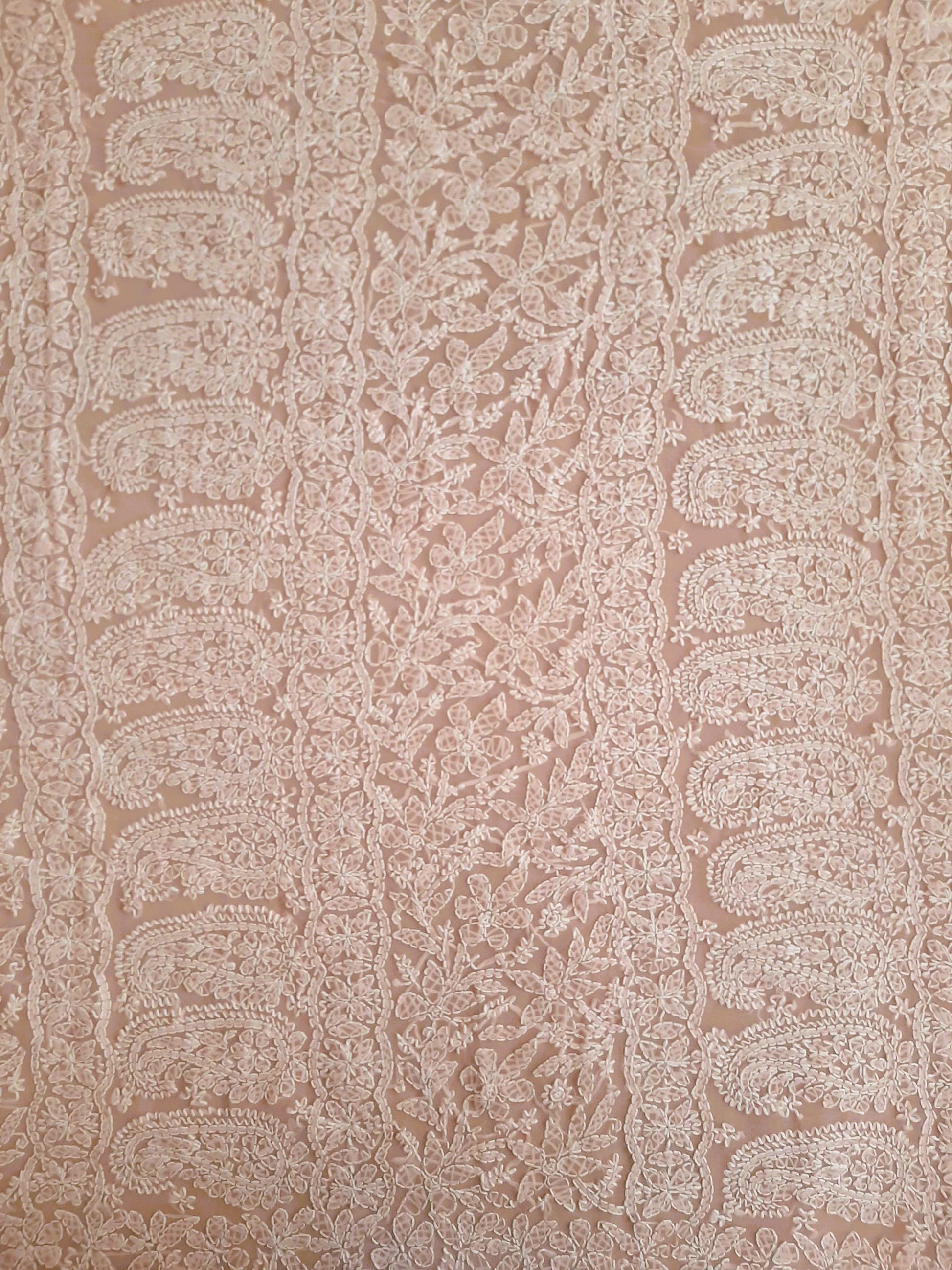 Peach Noor Full Jaal Hand Embroidered Lucknowi Chikankari Saree