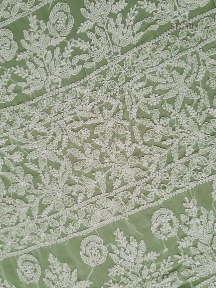Pista Green Noor Full Jaal Hand Embroidered Lucknowi Chikankari Saree