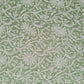 Pista Green Noor Full Jaal Hand Embroidered Lucknowi Chikankari Saree