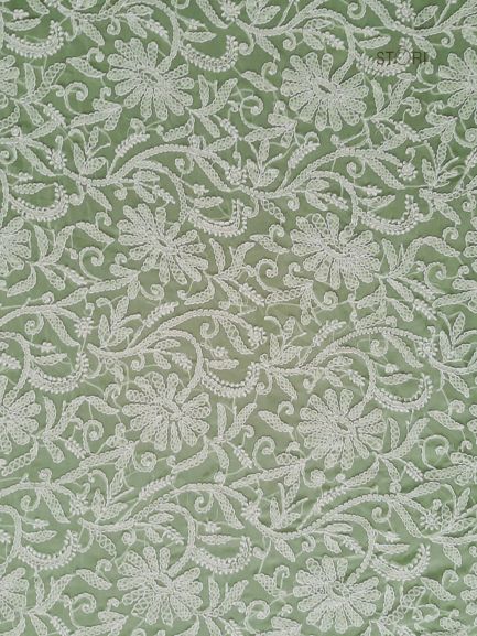 Pista Green Noor Full Jaal Hand Embroidered Lucknowi Chikankari Saree