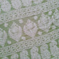 Pista Green Noor Full Jaal Hand Embroidered Lucknowi Chikankari Saree