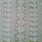 Pista Green Noor Full Jaal Hand Embroidered Lucknowi Chikankari Saree