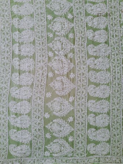 Pista Green Noor Full Jaal Hand Embroidered Lucknowi Chikankari Saree