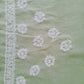 Pista Green Noor Full Jaal Hand Embroidered Lucknowi Chikankari Saree