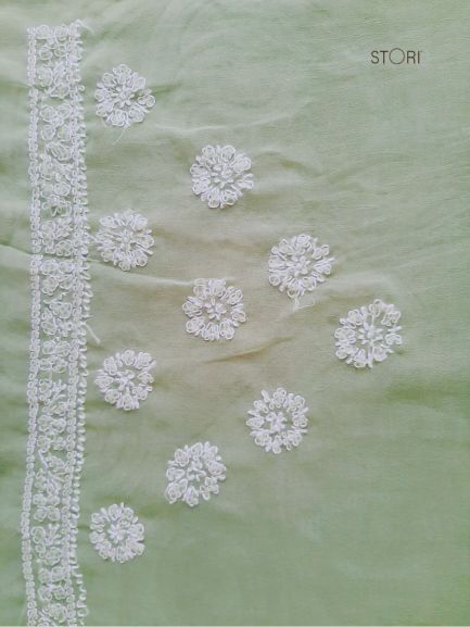 Pista Green Noor Full Jaal Hand Embroidered Lucknowi Chikankari Saree