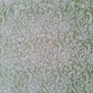 Pista Green Noor Full Jaal Hand Embroidered Lucknowi Chikankari Saree