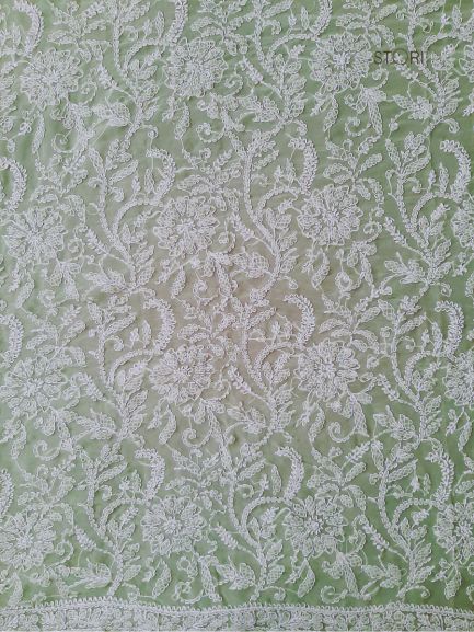 Pista Green Noor Full Jaal Hand Embroidered Lucknowi Chikankari Saree