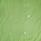 Pista Green Surya Hand Embroidered Lucknowi Chikankari Saree