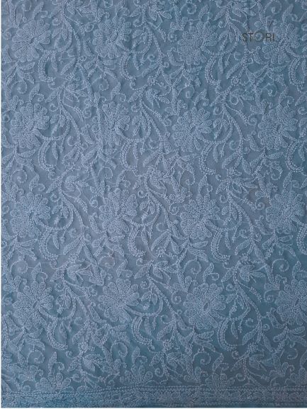 Powder Blue Noor Full Jaal Hand Embroidered Lucknowi Chikankari Saree