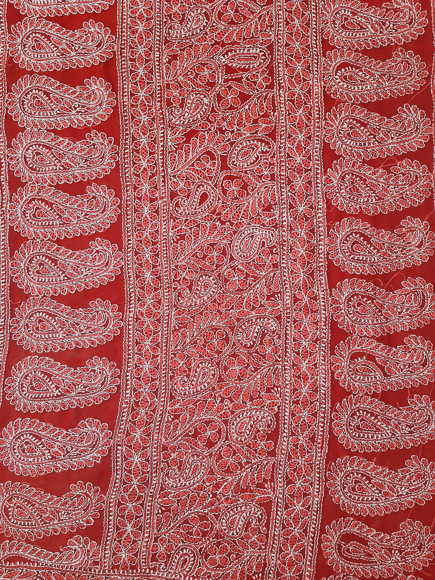 Red Noor Full Jaal Hand Embroidered Lucknowi Chikankari Saree
