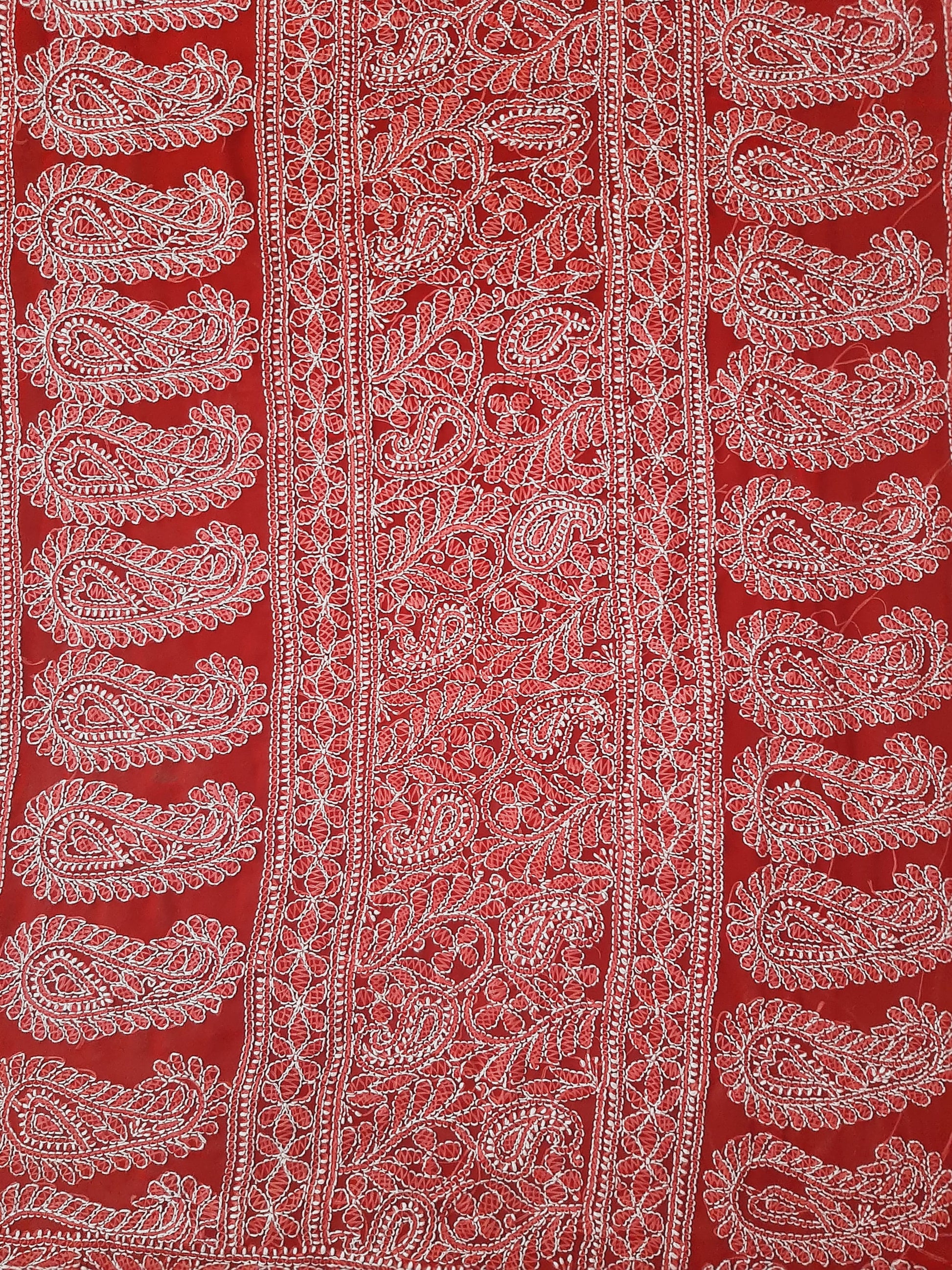 Red Noor Full Jaal Hand Embroidered Lucknowi Chikankari Saree