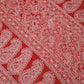 Red Noor Full Jaal Hand Embroidered Lucknowi Chikankari Saree