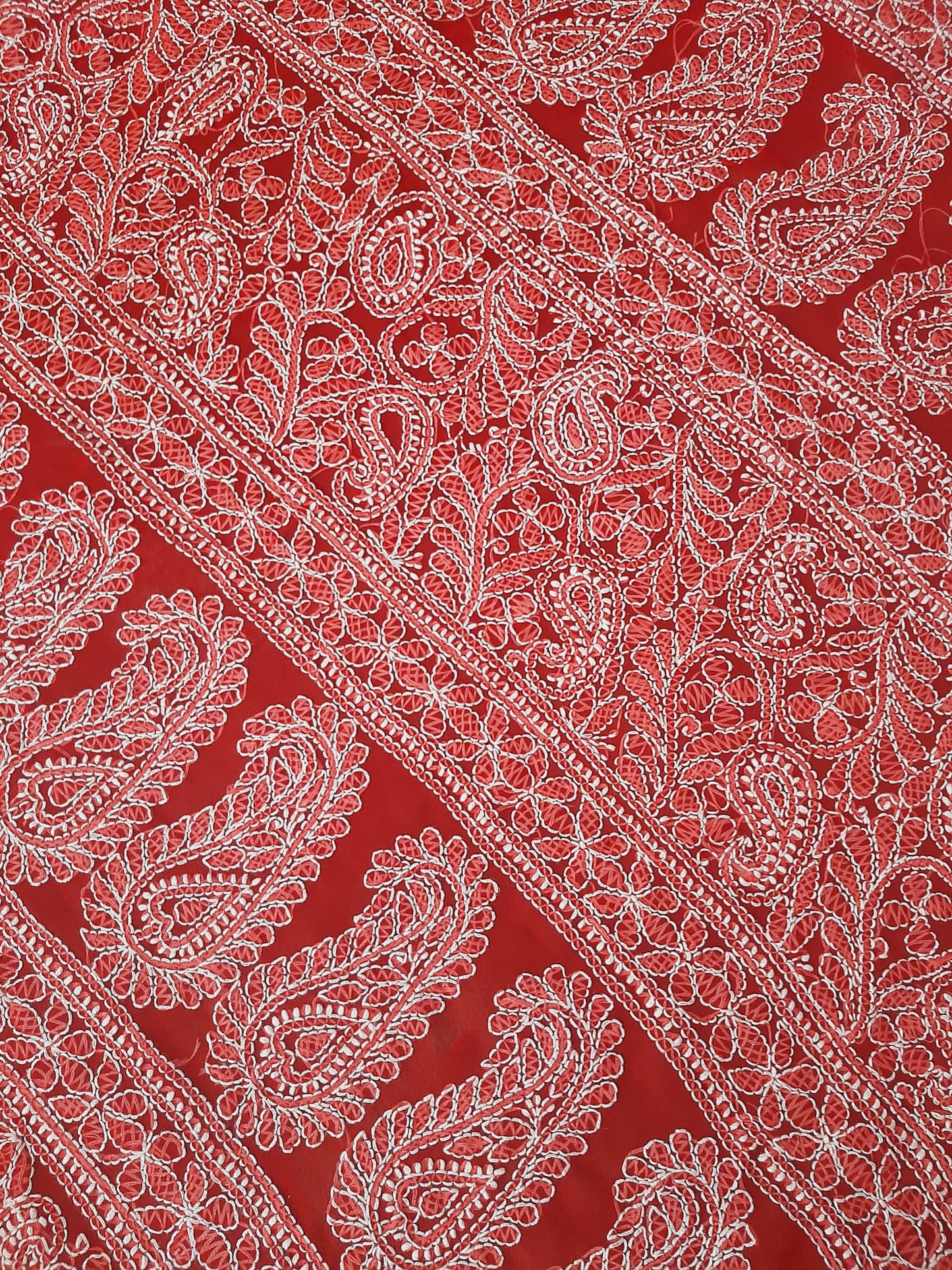Red Noor Full Jaal Hand Embroidered Lucknowi Chikankari Saree