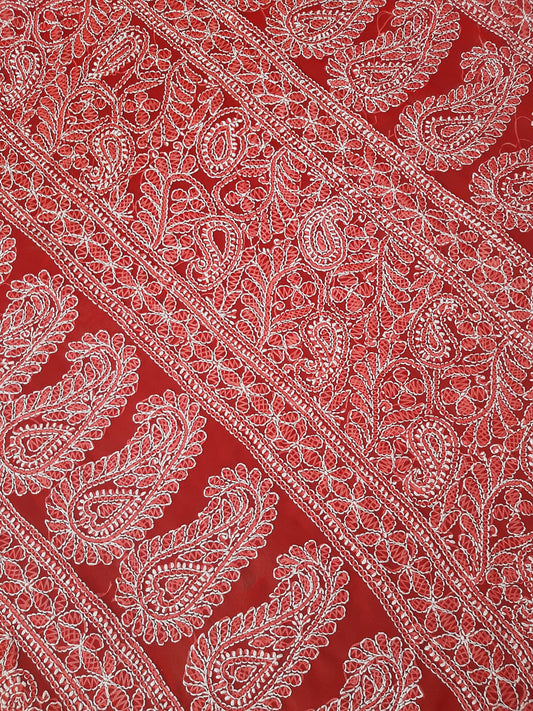 Red Noor Full Jaal Hand Embroidered Lucknowi Chikankari Saree