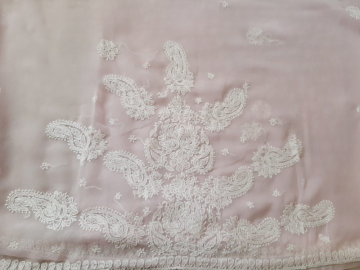 Baby Pink Sanah Handcrafted Lucknowi Chikankari Saree