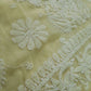 Lime Sanah Handcrafted Lucknowi Chikankari Saree