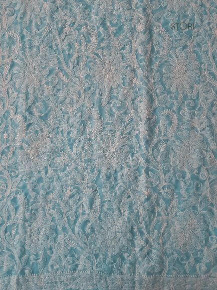 Sky Blue Noor Full Jaal Hand Embroidered Lucknowi Chikankari Saree
