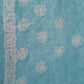 Sky Blue Noor Full Jaal Hand Embroidered Lucknowi Chikankari Saree