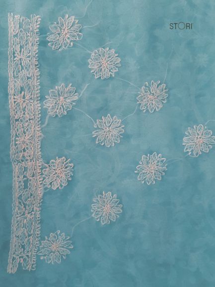 Sky Blue Noor Full Jaal Hand Embroidered Lucknowi Chikankari Saree