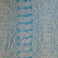 Sky Blue Noor Full Jaal Hand Embroidered Lucknowi Chikankari Saree