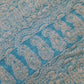 Sky Blue Noor Full Jaal Hand Embroidered Lucknowi Chikankari Saree