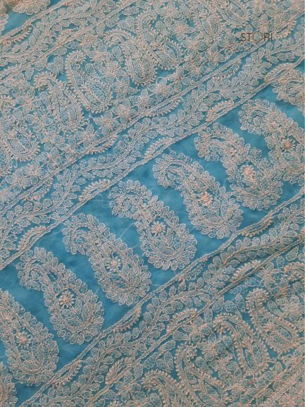 Sky Blue Noor Full Jaal Hand Embroidered Lucknowi Chikankari Saree