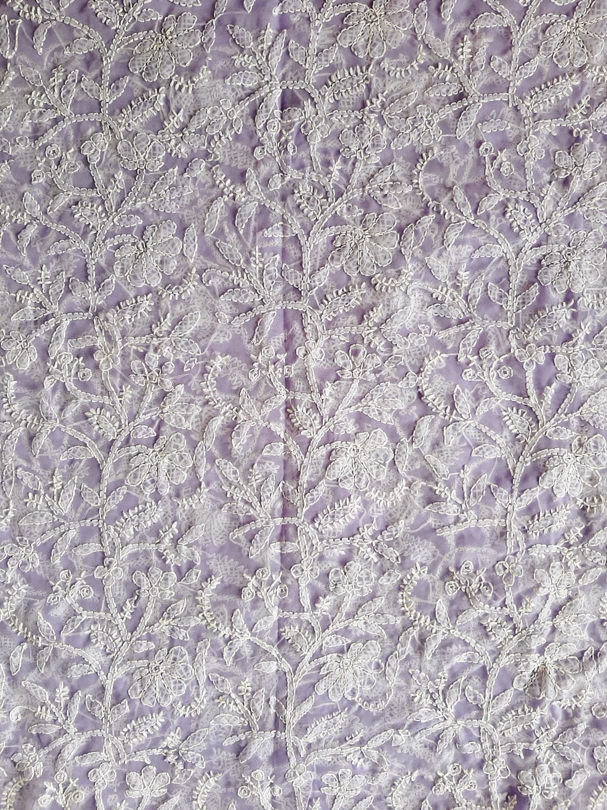 Lavendar Noor Full Jaal Hand Embroidered Lucknowi Chikankari Saree