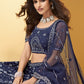 Berry Blue Heavy Mirror & Zarkan Work Designer Net Lehenga