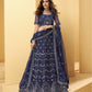Berry Blue Heavy Mirror & Zarkan Work Designer Net Lehenga