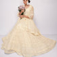 Ivory White Embroidered Net Lehenga