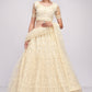Ivory White Embroidered Net Lehenga