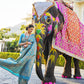 Moonstone Blue Kanjivaram Silk Saree