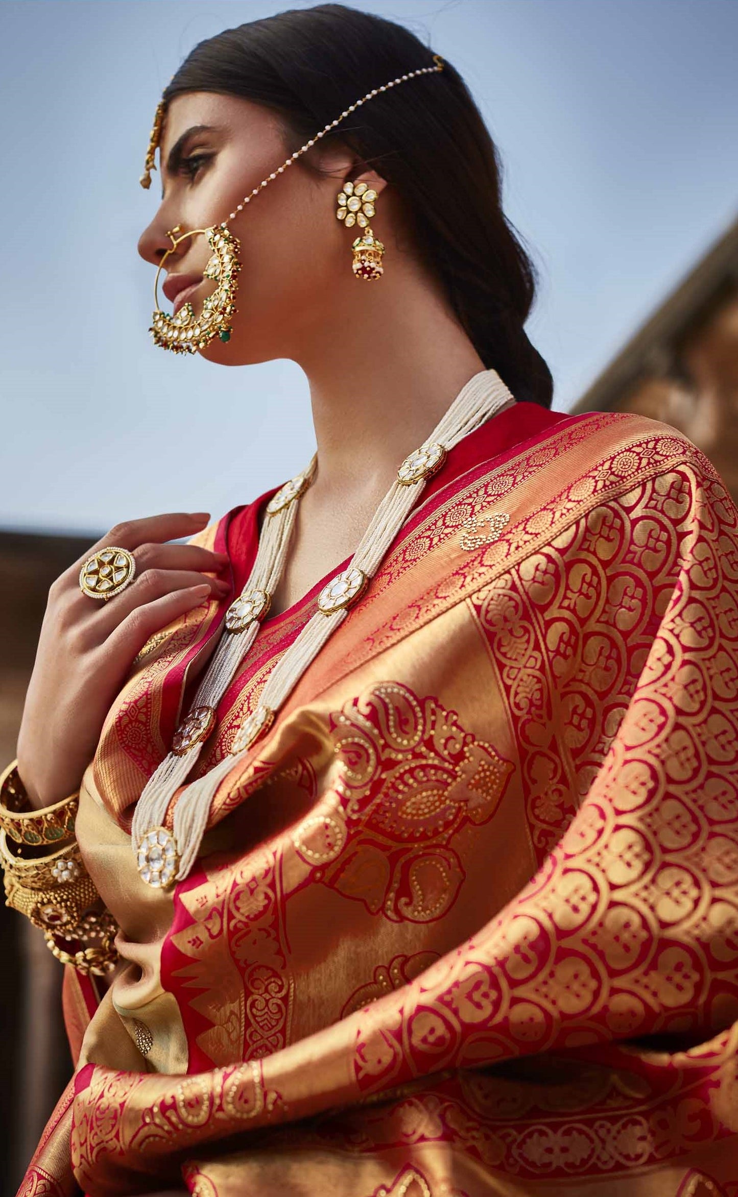 Fawn Brown Silk Saree With Designer Blouse