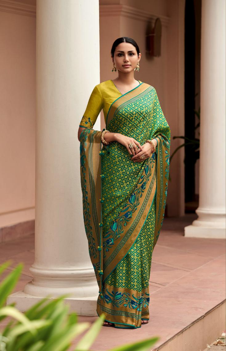 Apple Green & Dark Green Brasso Silk Saree With Embroidered Blouse