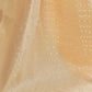 Porcelain Beige Weaved Lucknowi Chikankari Saree
