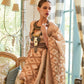 Chikoo Brown Tissue Silk Handloom Saree